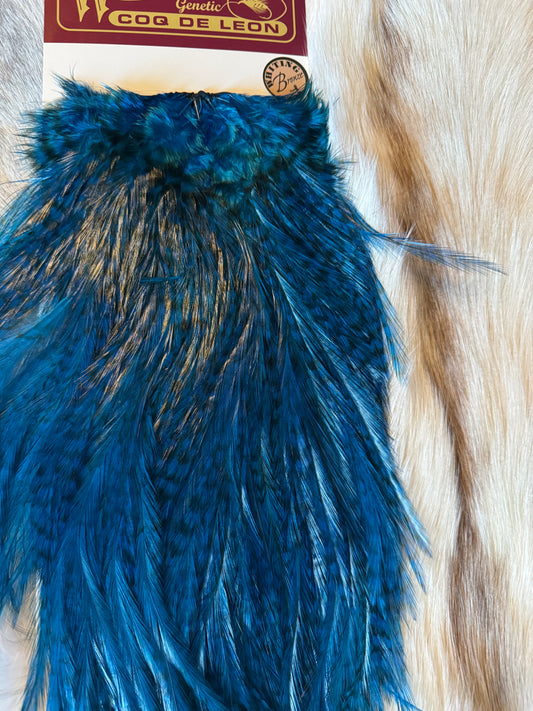 Whiting Capes - COQ DE LEON - Rooster Saddle (Bronze) - Grizzly dyed Kingfisher Blue