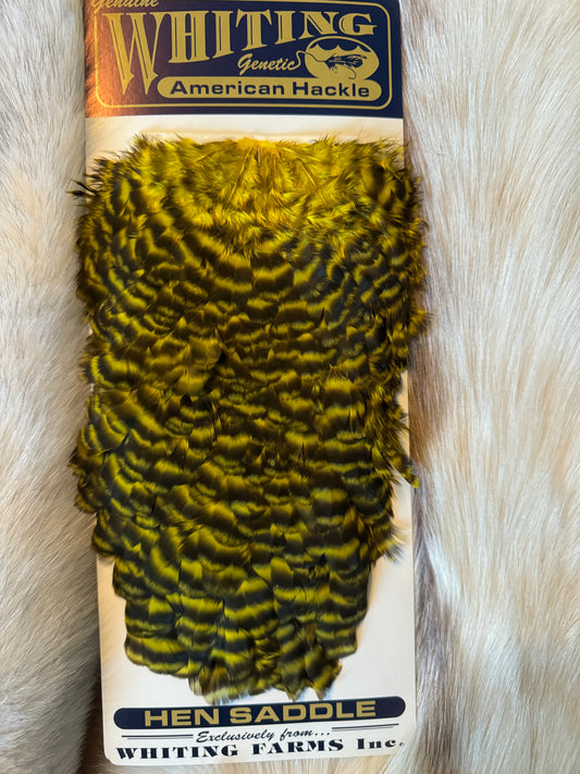 Whiting Capes - American Hackle - Hen Saddle - Grizzly Dyed Yellow (3)