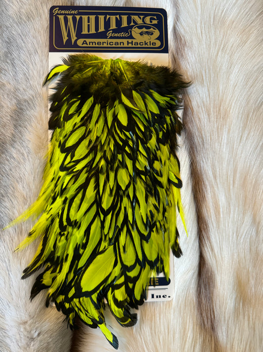 Whiting Capes - American Hackle - Hen Saddle - Black Laced White / Fl. Yellow - Chartreuse (2)