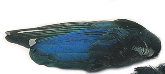 Veniard Magpie Wings