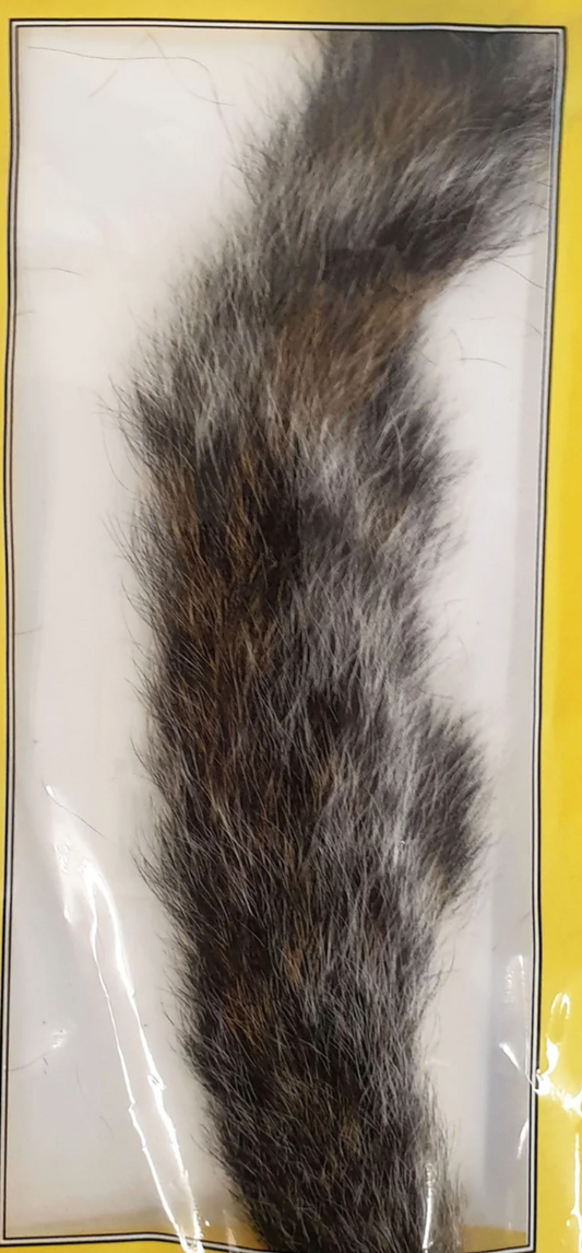 Squirrel Tail